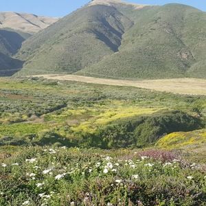 Meet your Posher, Amarjit